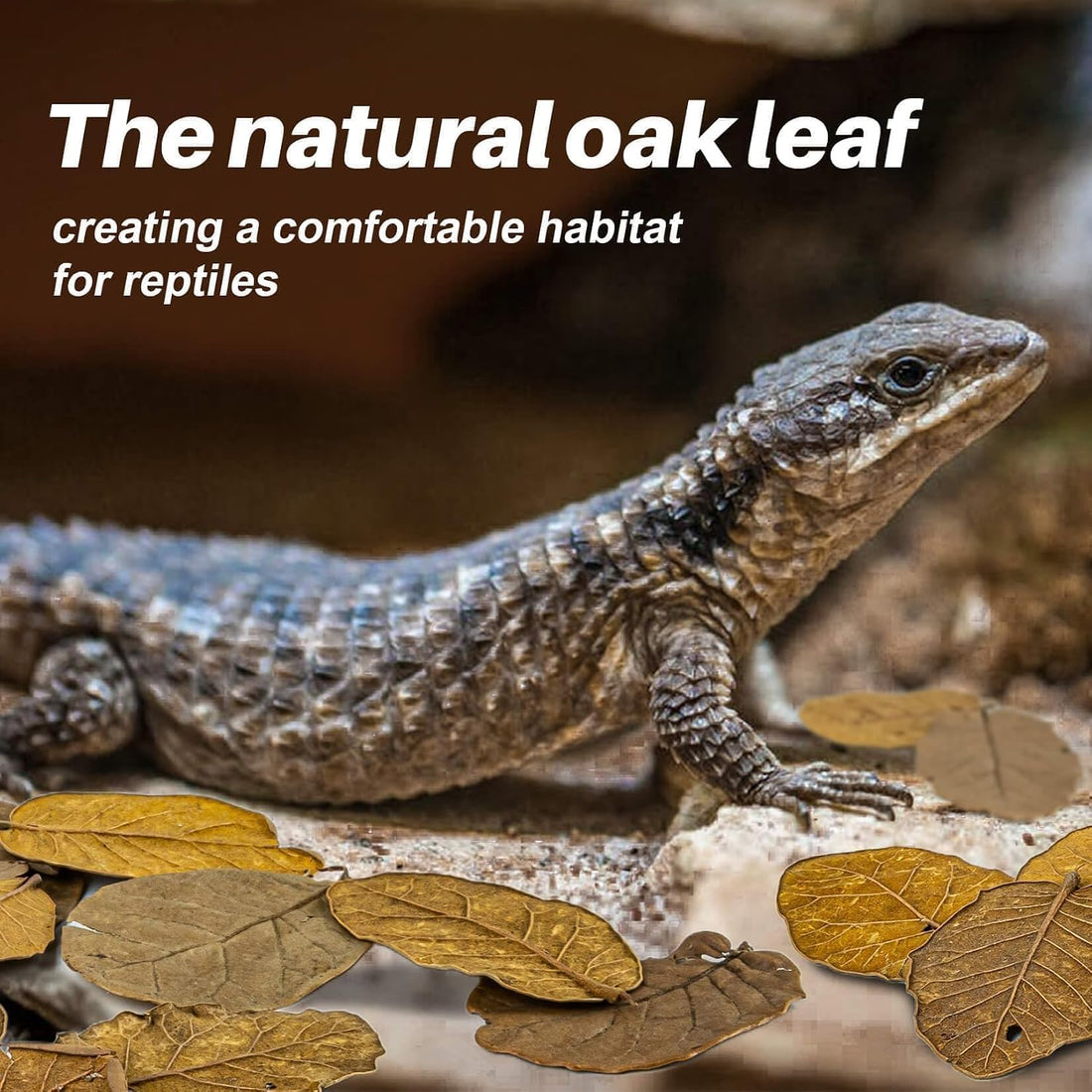 MAQIHAN 5oz Oak Leaf Litter - Dry Substrate for Reptiles Isopod