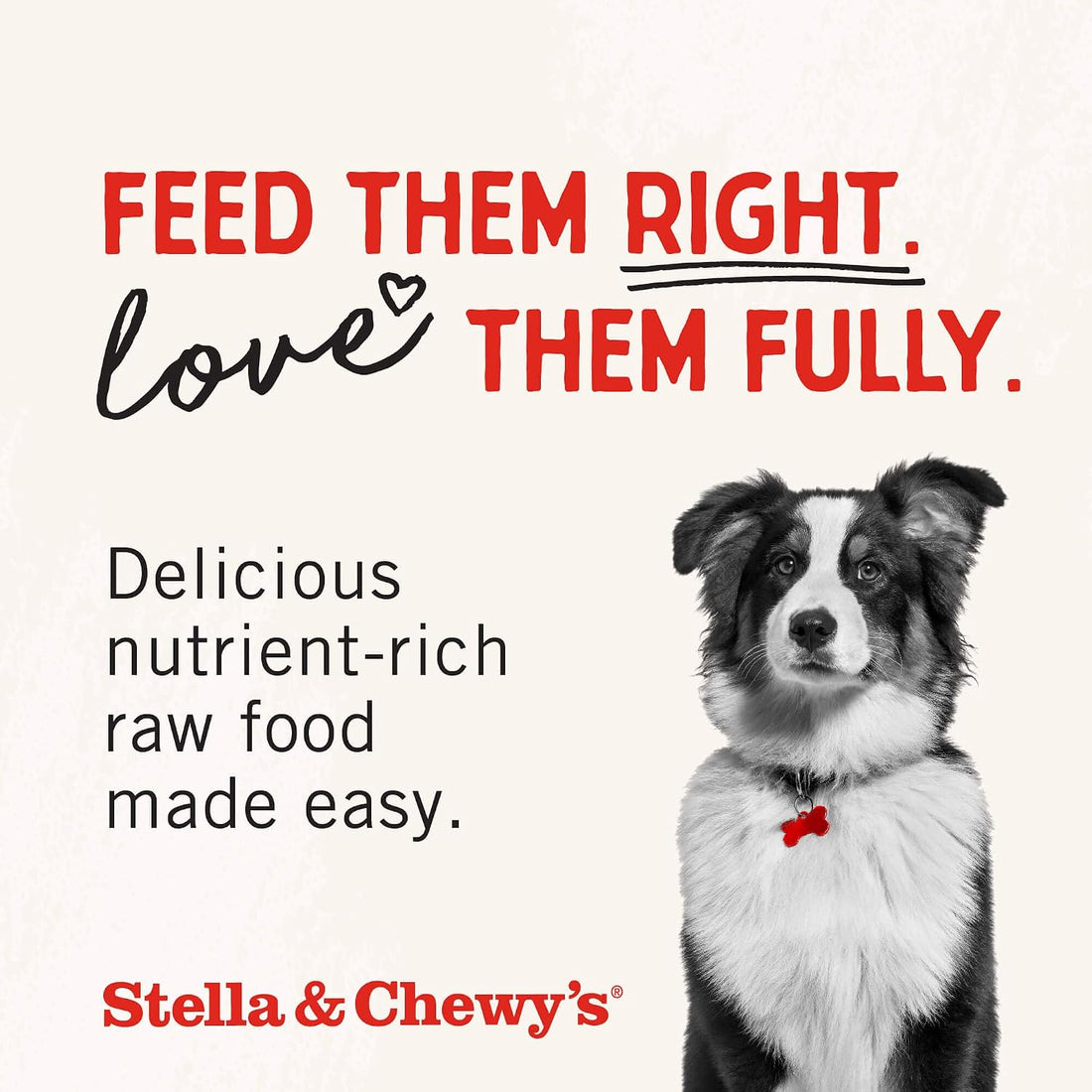 Stella & Chewy's Baked Kibble, Raw Blend