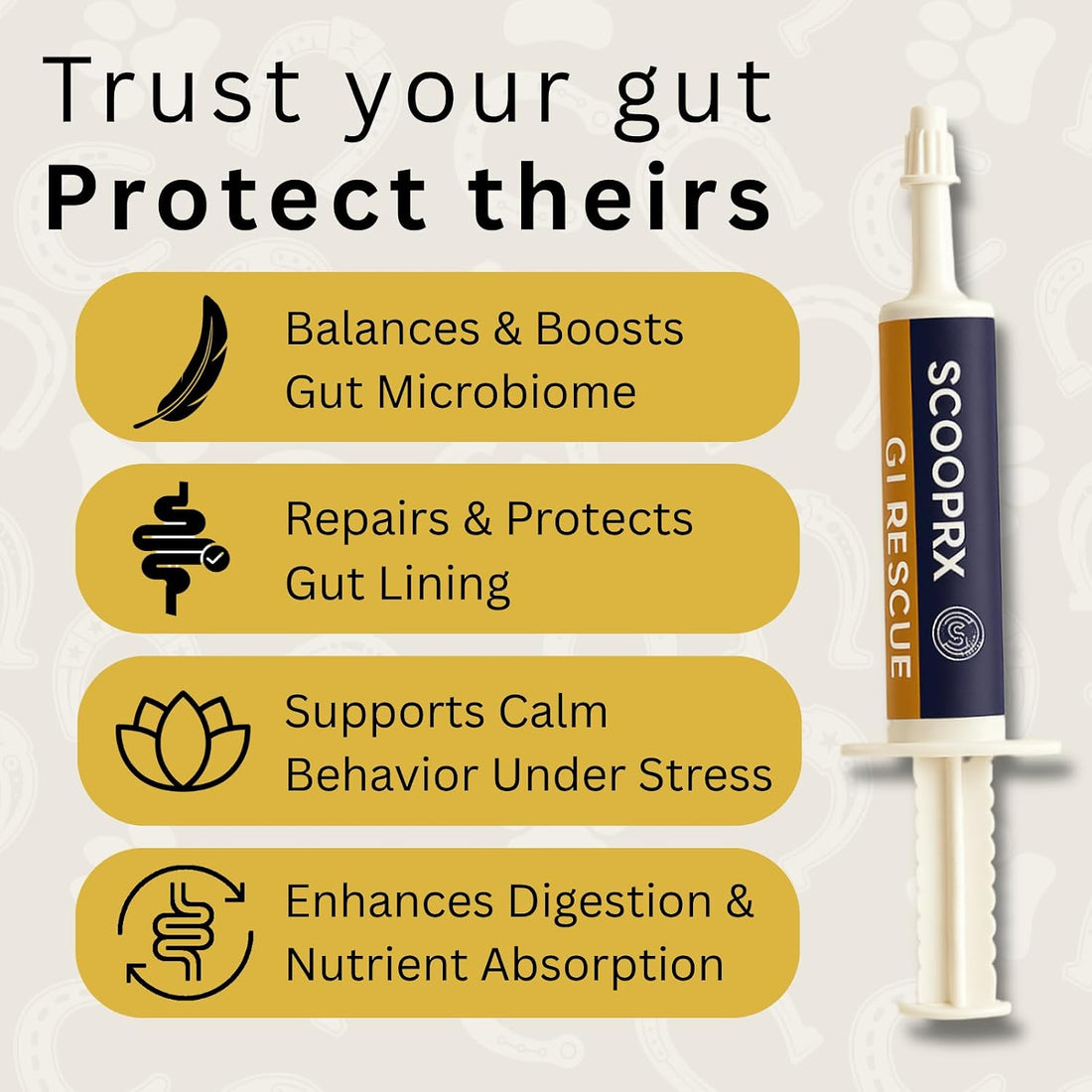 Horse Digestive Support System | Emergency & Daily GI Balance