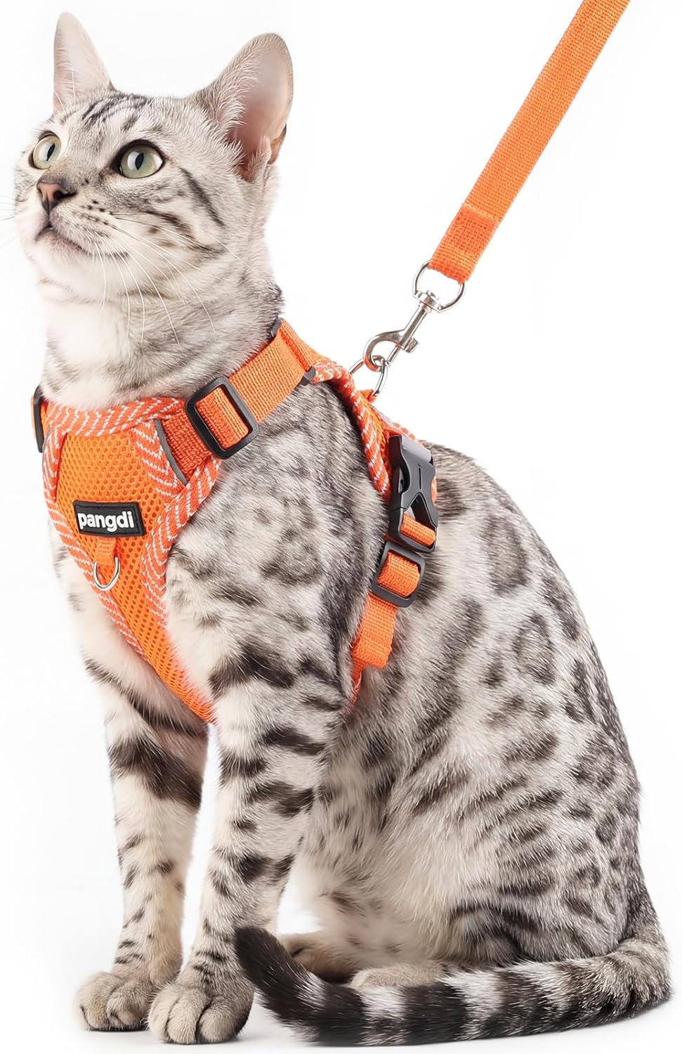 Cat Harness and Leash Set, Soft Mesh Cat Vest, Turquoise, XL