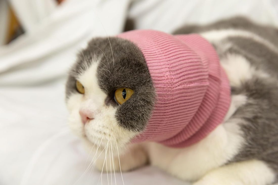 Cat Ear Protector No Scratch Wound Care Pink S