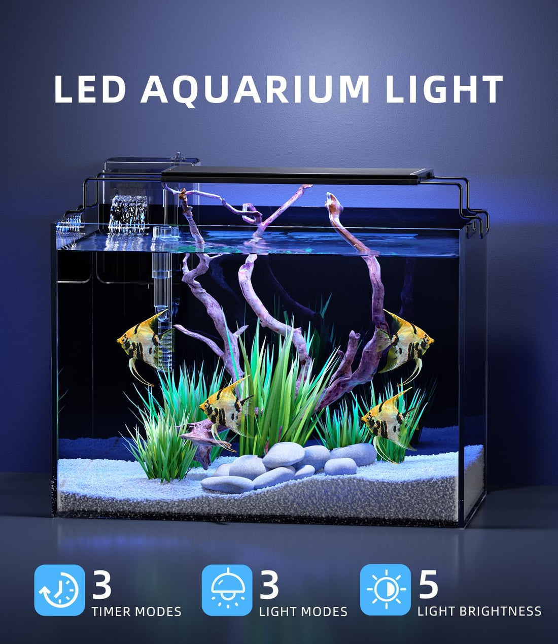 5 Gallon Fish Tank Aquarium Starter Kit with Filter Light Lid Rimless