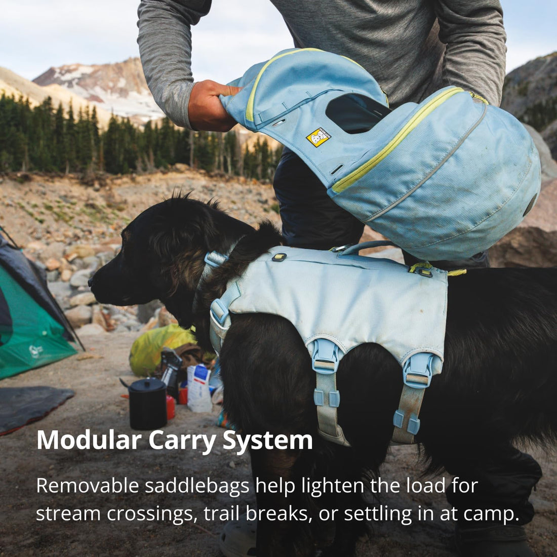 Ruffwear Palisades Dog Backpack