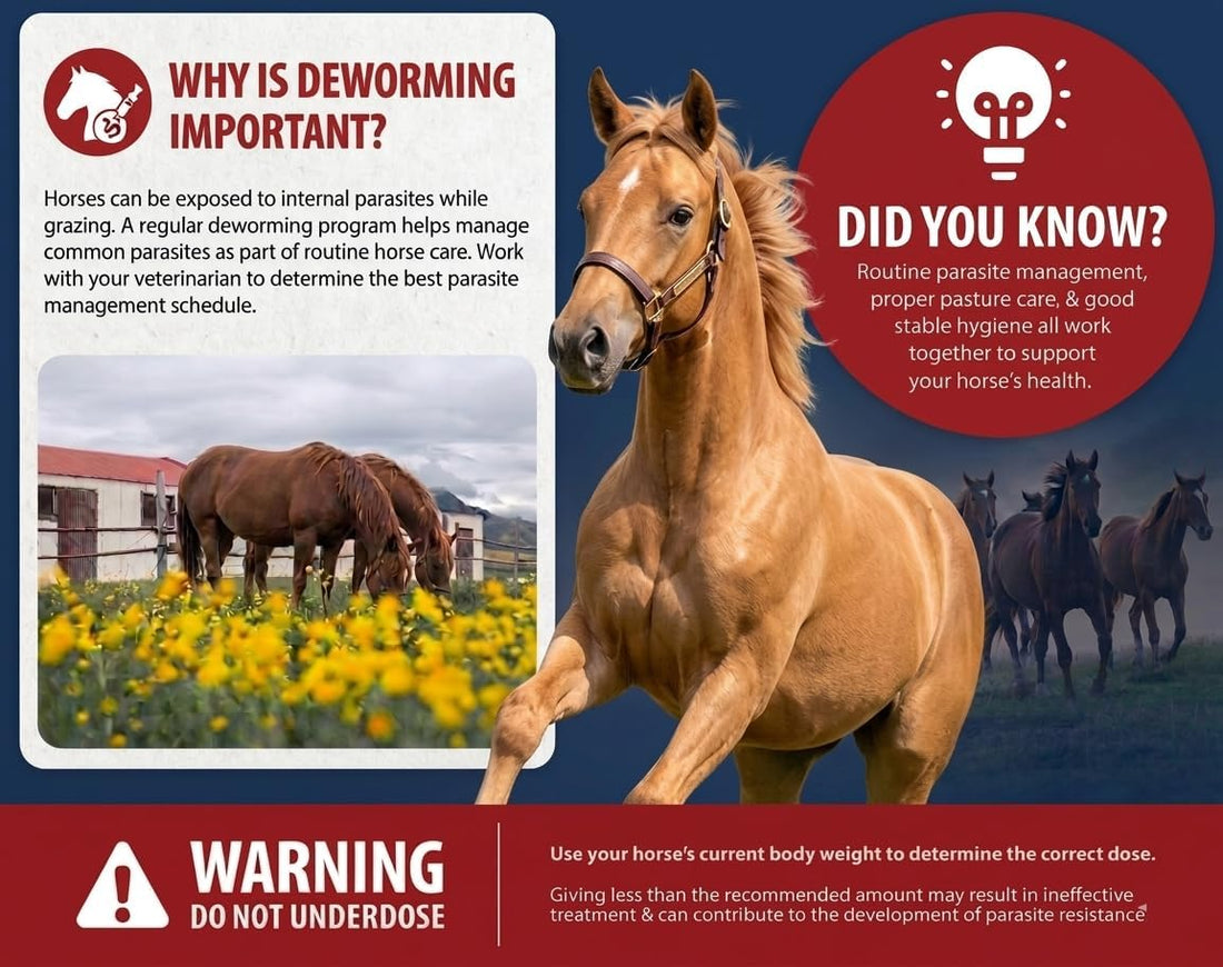 Ivermectin Horse Paste 1.87% - Apple Flavored