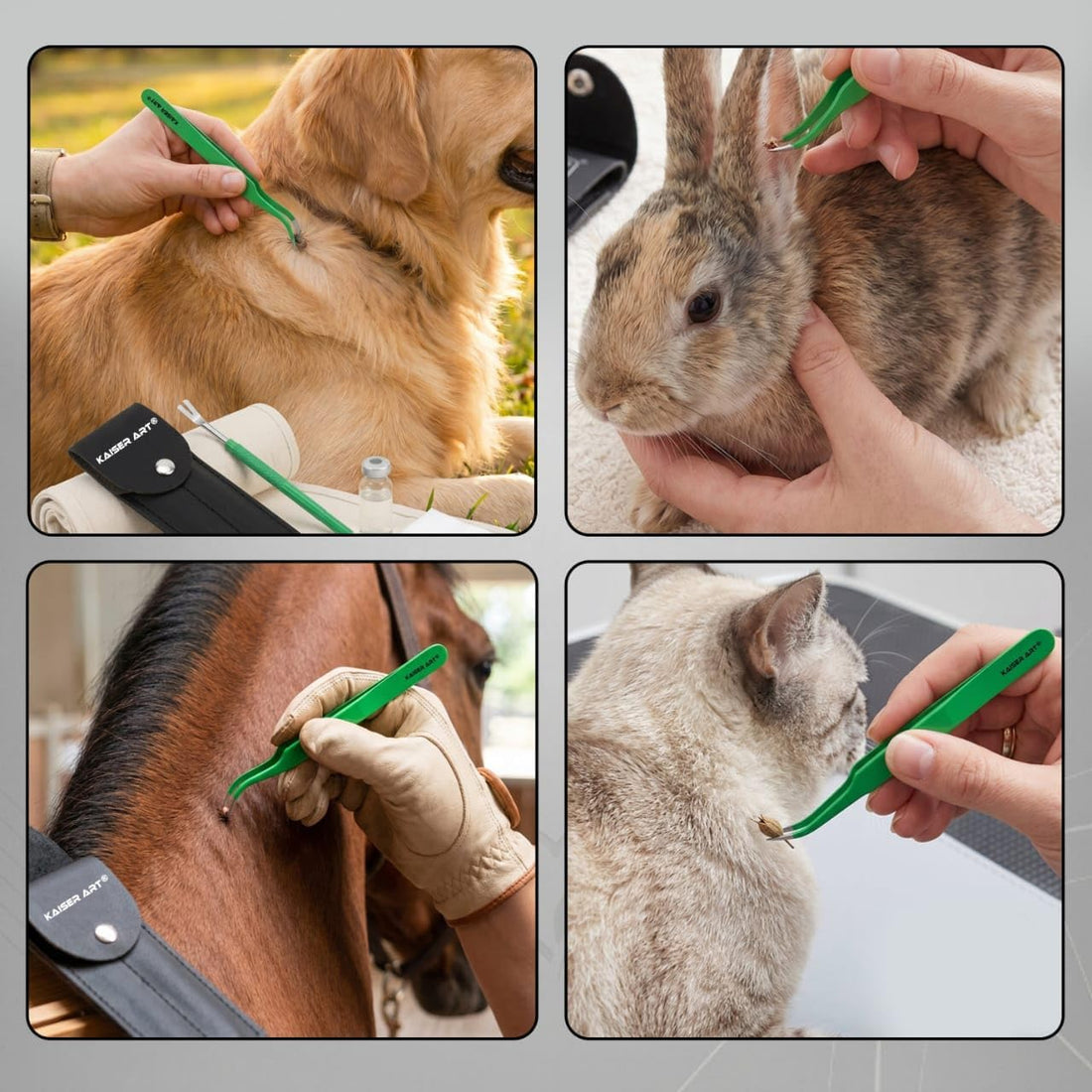 Tick Remover Tool for Dogs, Cats & Humans | Deer Tick Remover Kit
