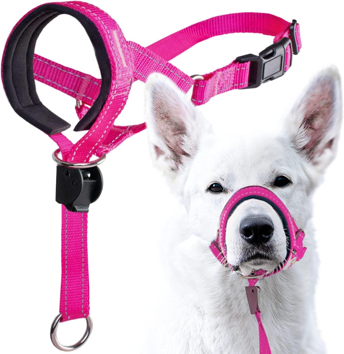 GoodBoy Dog Head Halter with Safety Strap