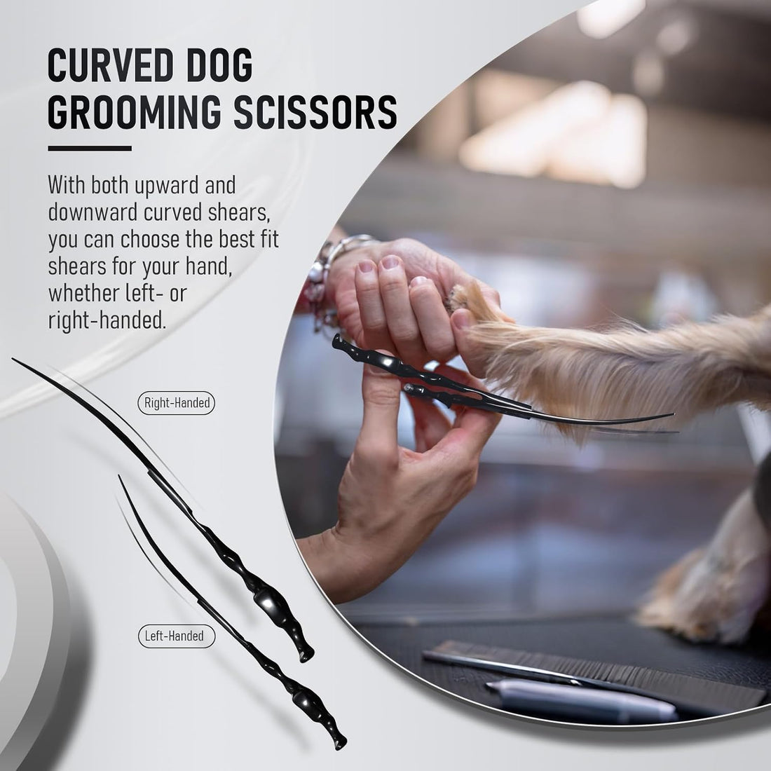 Purple Dragon Dog Grooming Scissors Set - Curved Thinning