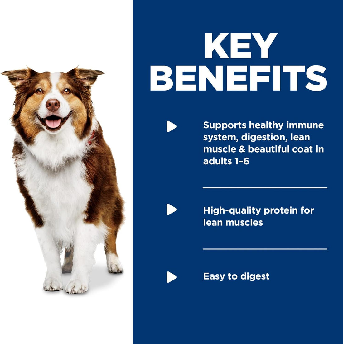 Hill's Science Diet Adult 1-6 Healthy Cuisine Wet Dog Food Variety