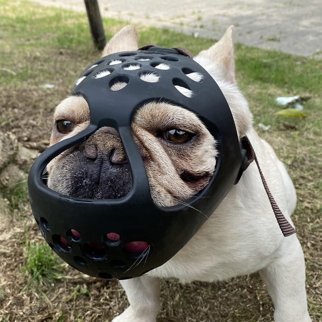 BARKLESS French Bulldog Muzzle