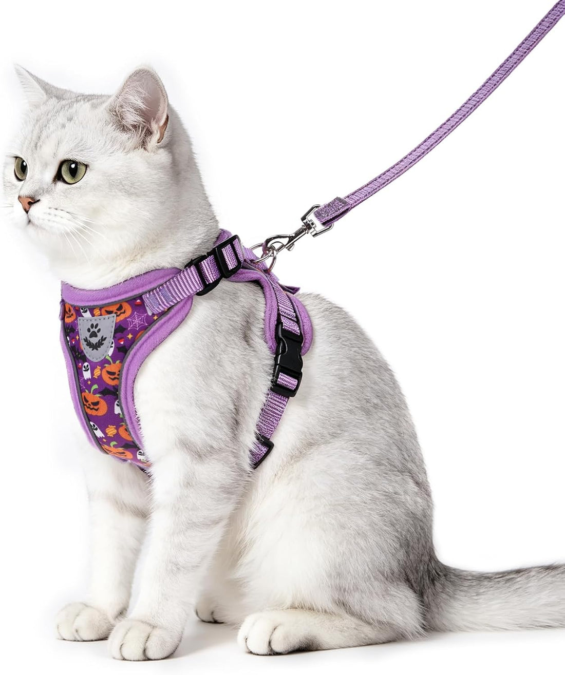 PUPTECK Halloween Cat Harness and Leash Set Escape Proof Reflective