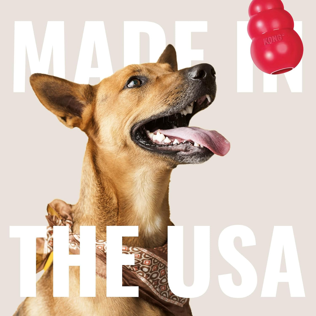 KONG Extreme Flyer, Durable Soft Rubber Flying Disc, for Large Dogs