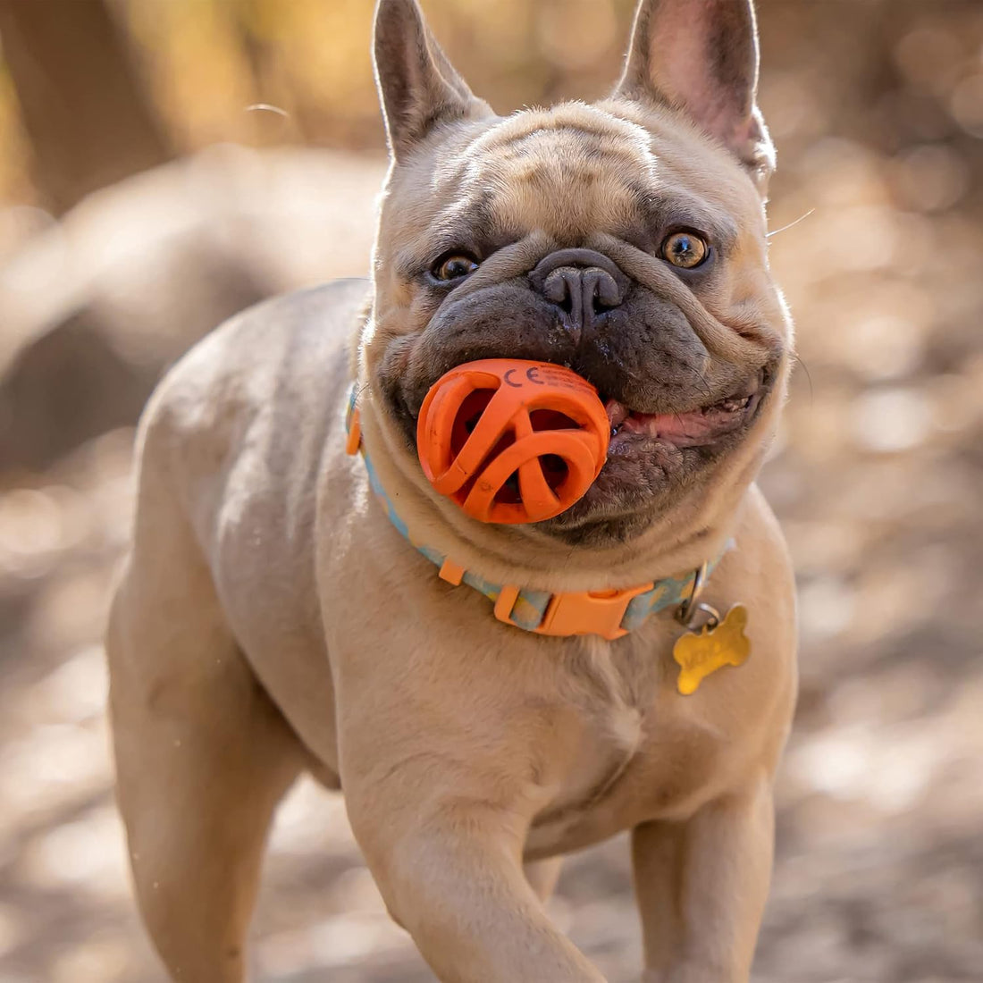 Chuckit! Air Fetch Ball Dog Toy (Small) Sport 14S Dog Ball Launcher