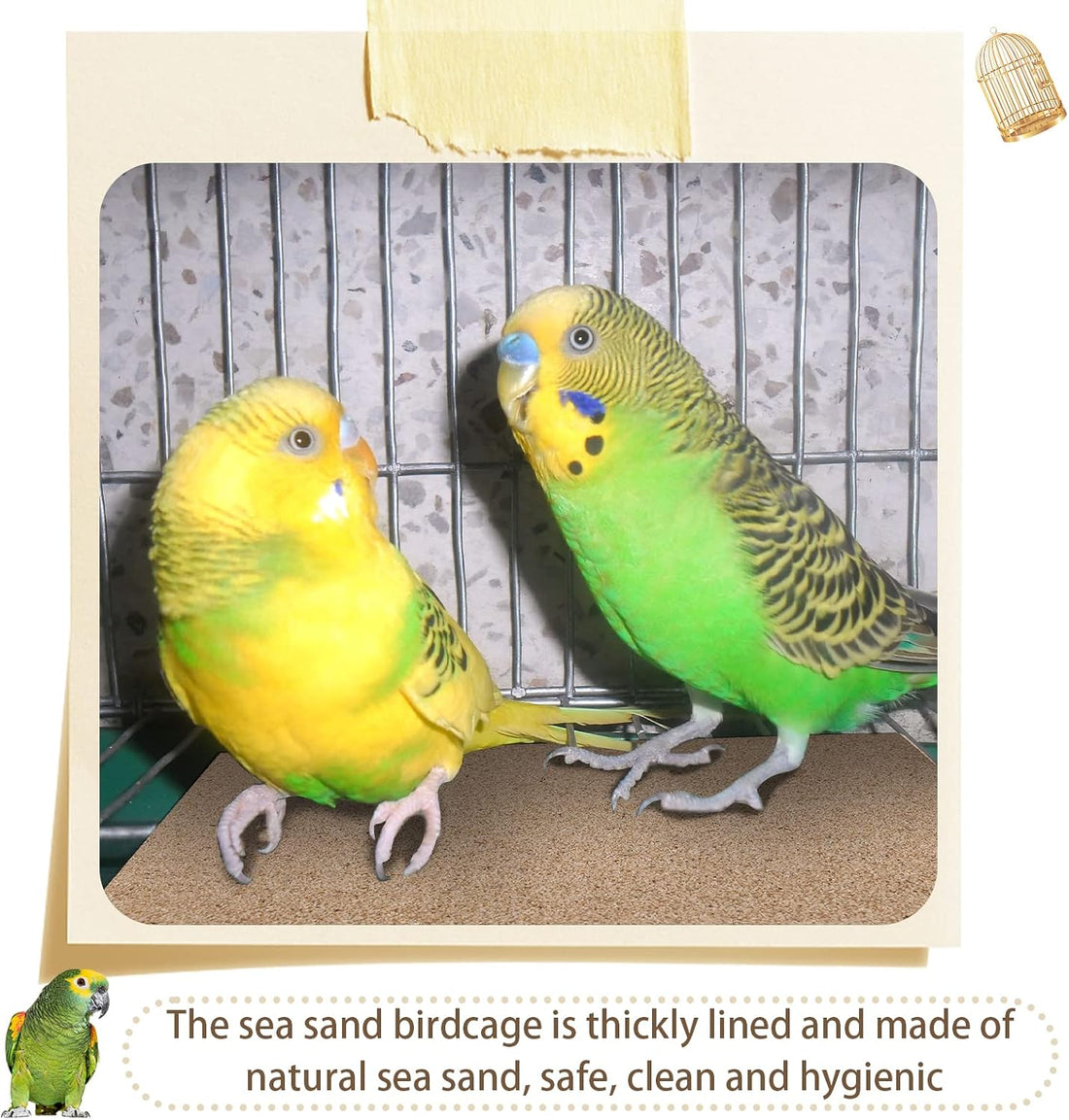 Fabbay 100 Pcs Gravel Paper for Bird Cage Gravel Liner Paper Pet
