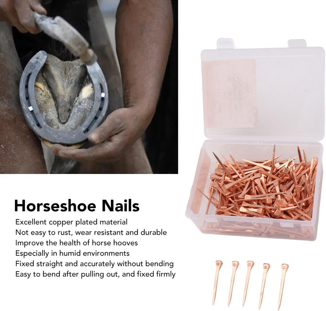 250Pcs Horseshoe Nails Copper Plated Rustproof Equestrian Riding