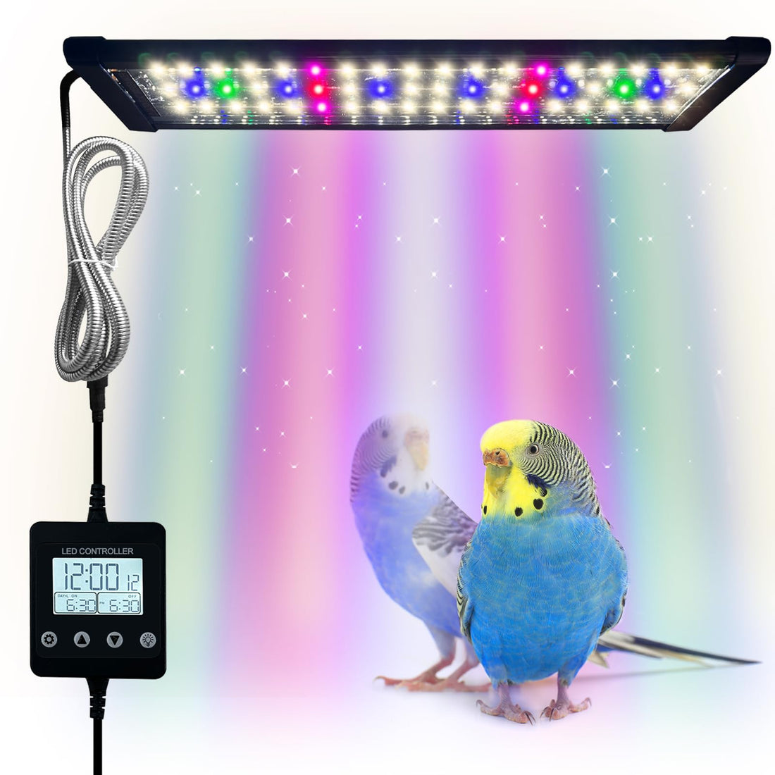 Bird Cage Light,Bird Lamp,Bird Lighting Timed Lighting Off,Full