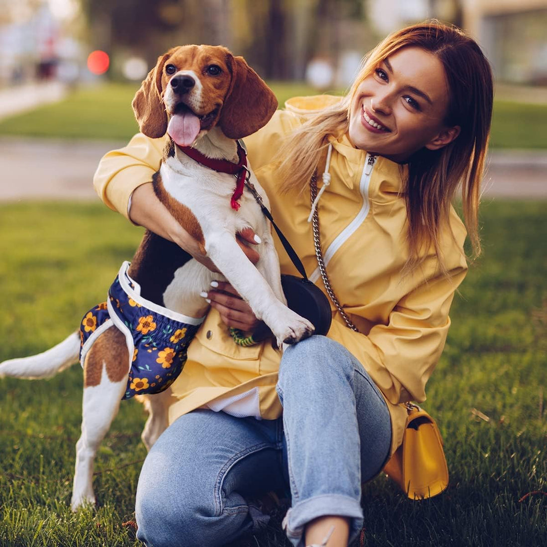 Pet Soft Washable Female Diapers Female Dog Diapers