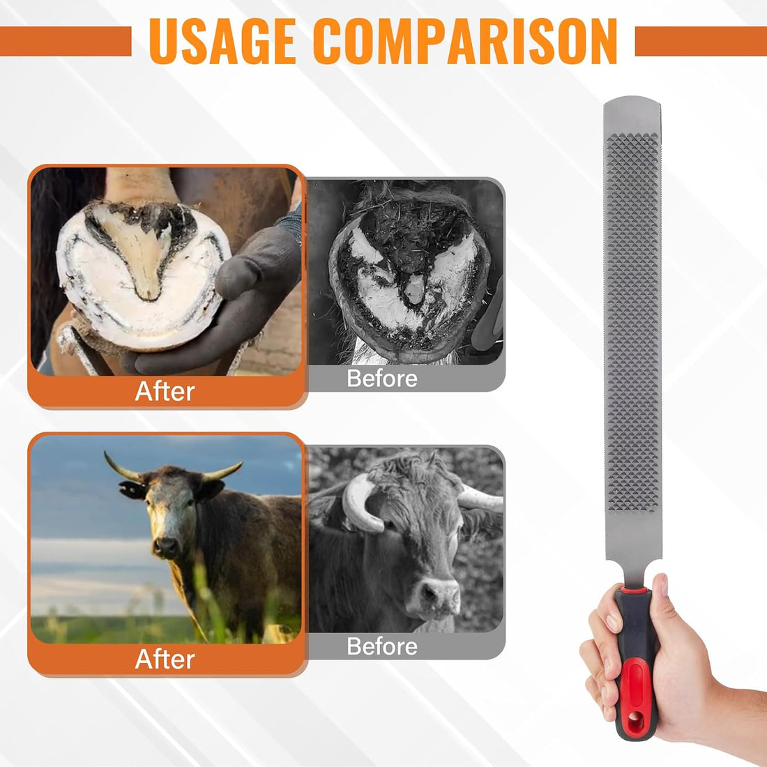 18Inch Professional Farrier Hoof Rasp