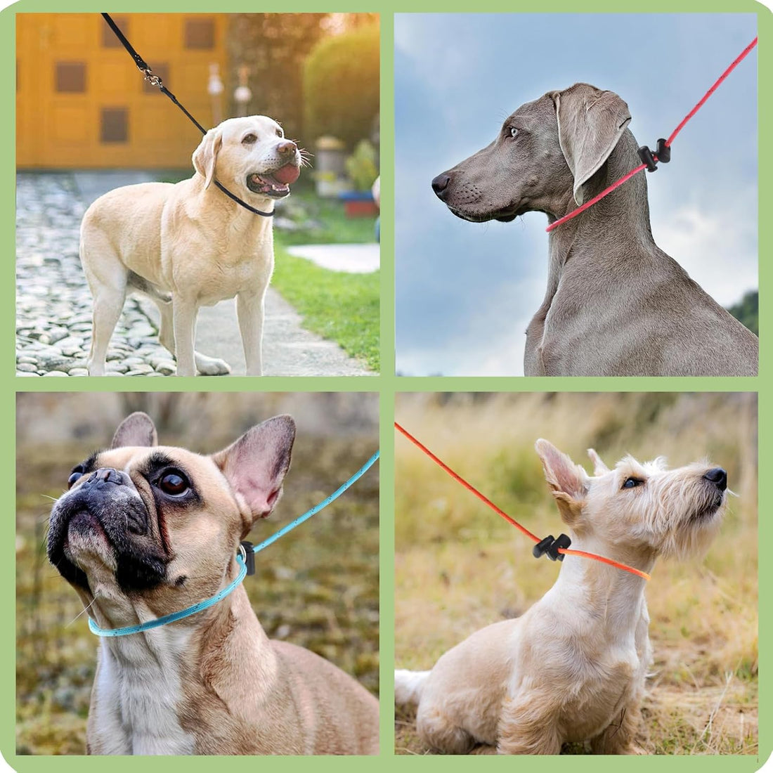 18" Dog Slip Collar – 5/32" Paracord Rope Dog Collar