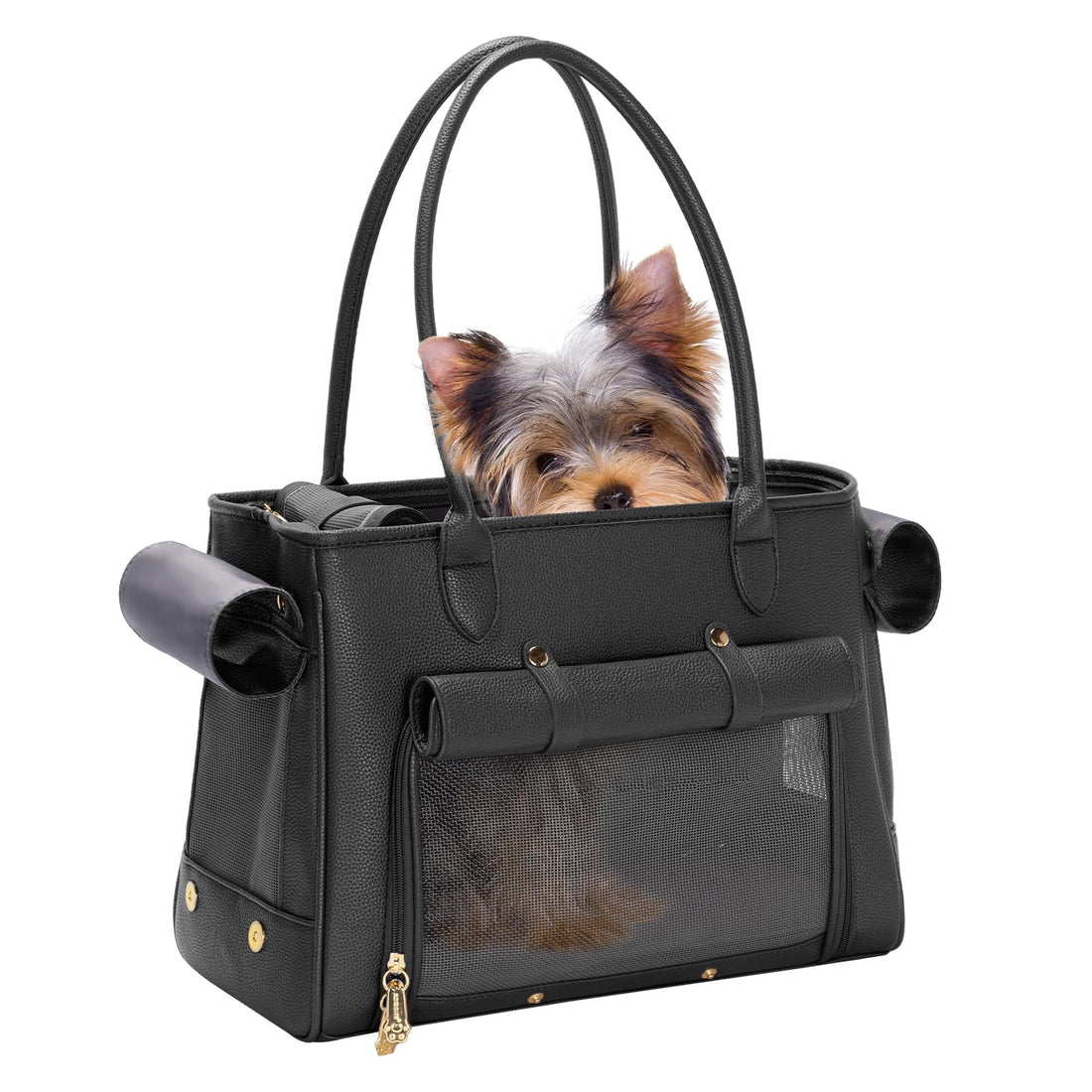 Fashion Pet Carrier Purse for Small Cat and Dog
