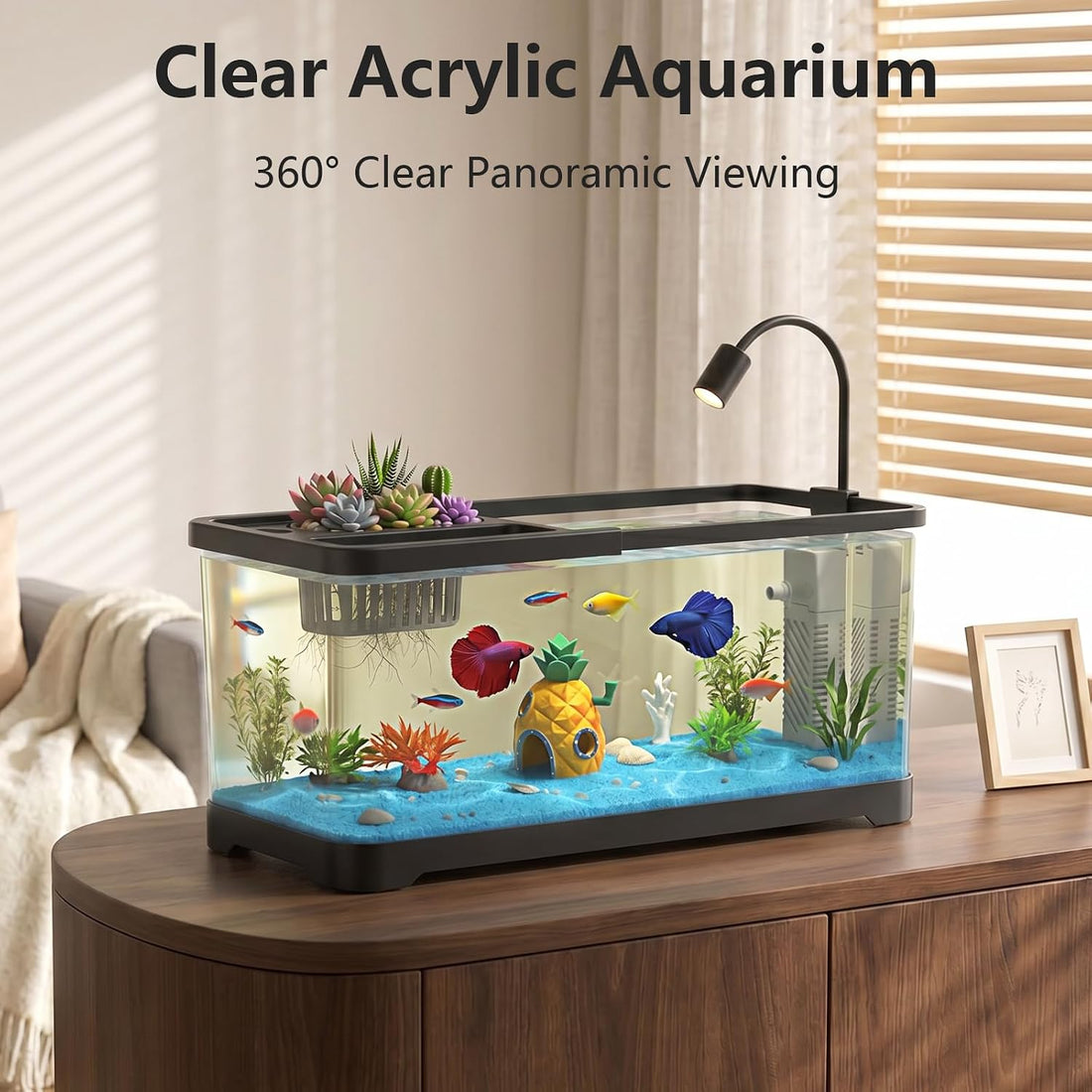 5 Gallon Fish Tank Aquarium Starter Kit with Filter and Light