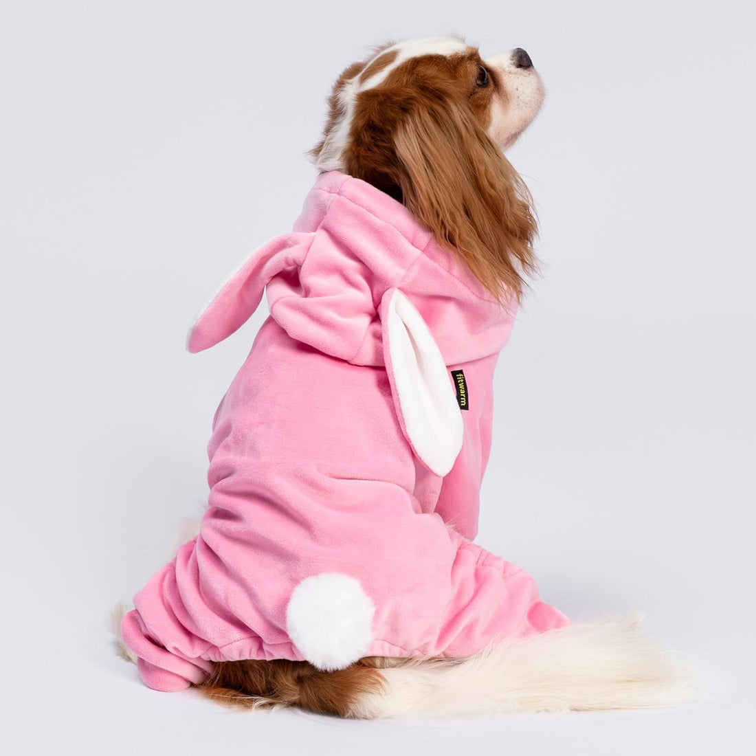 Fitwarm Halloween Sheep Dog Costumes