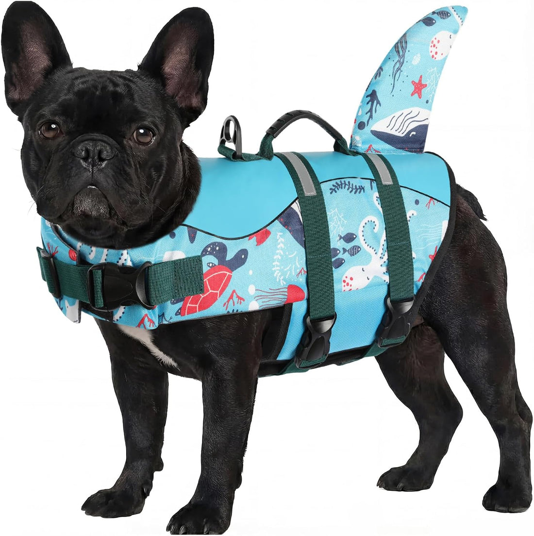 ASENKU Dog Life Jacket - Pet Safety Vest for Swimming & Boating