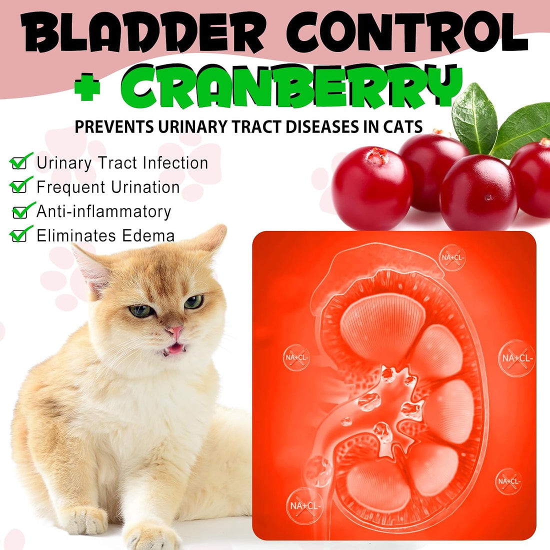 Urinary Tract for Cats, Natural Cat Urinary Tract Drops