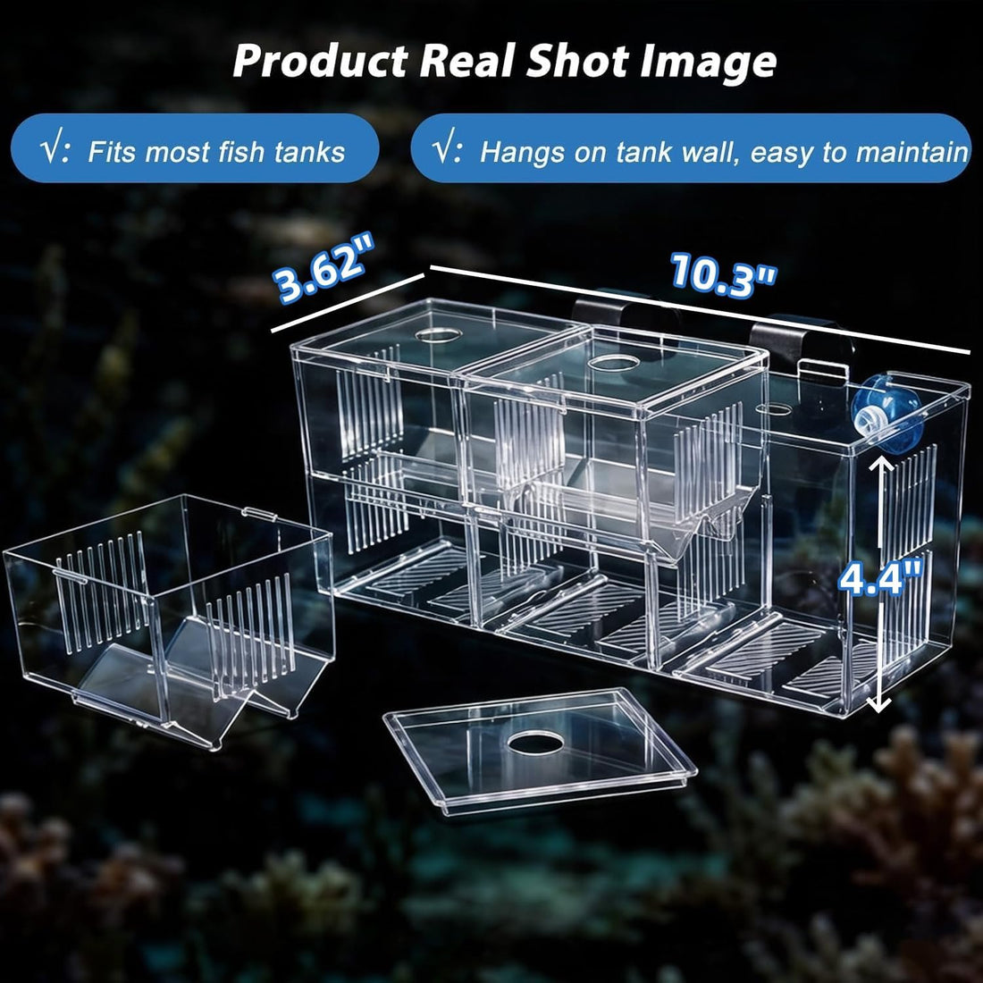 Fish Breeding Box,Breeding Box for Fish Tank,Betta Breeder Box