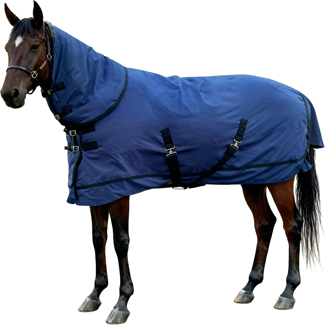 Horse Blankets Winter for Real Horses