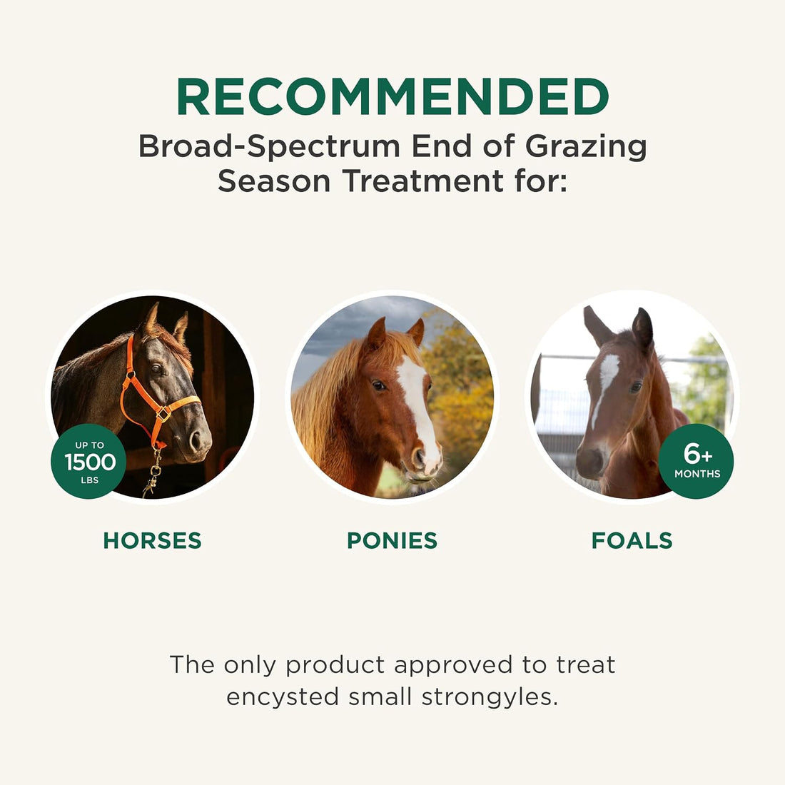Quest Plus (moxidectin/praziquantel) Gel Dewormer for Horses, 0.5 oz