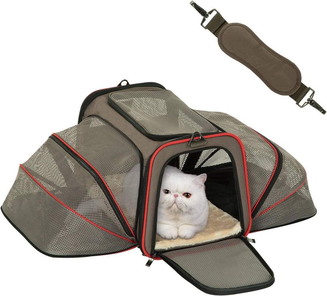 Petsfit Small Double Expandable Cat Carrier for Kittens and Air Travel