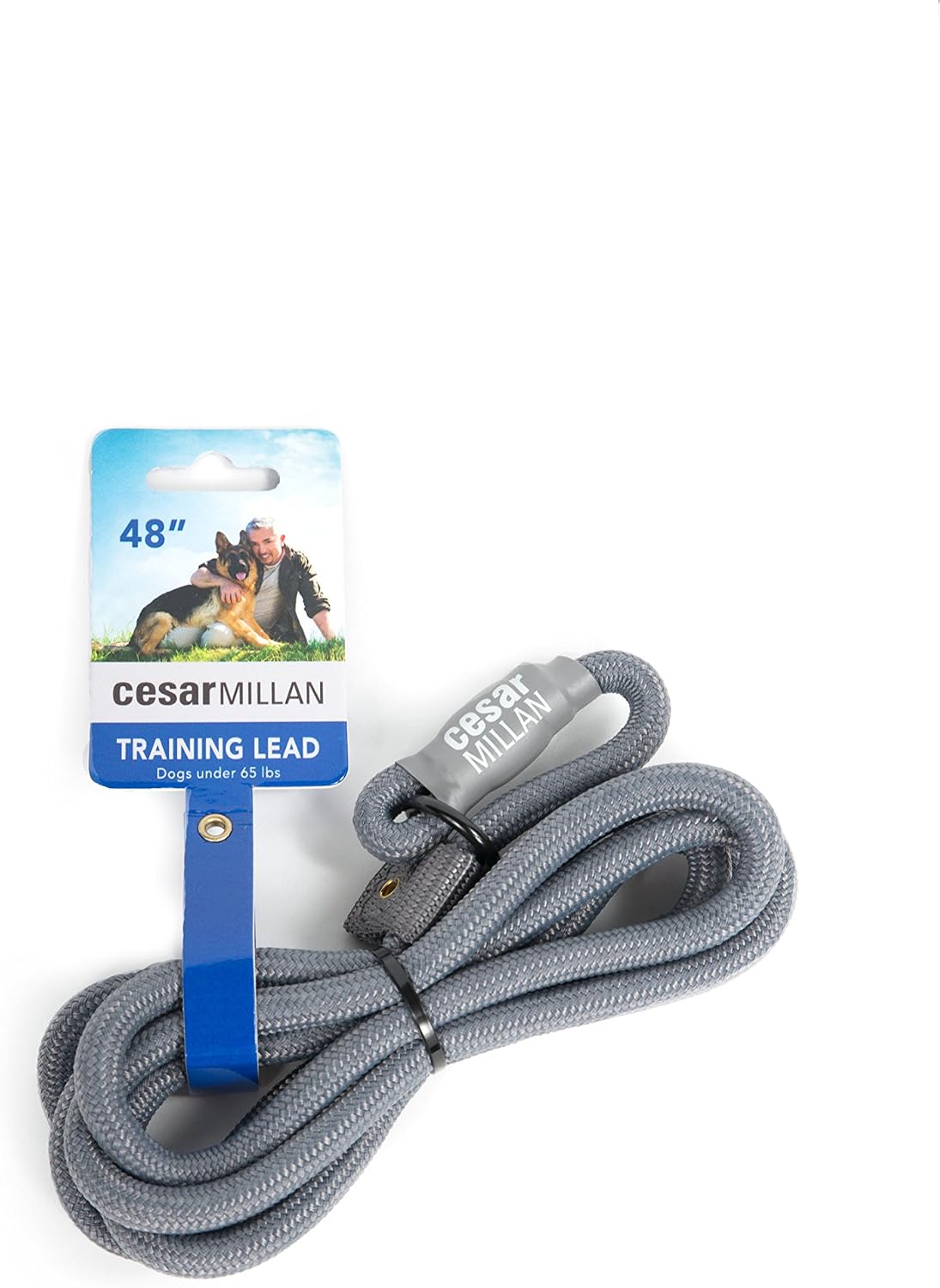 Cesar Millan Slip Lead Leash | Dog Leash | in Training Leash