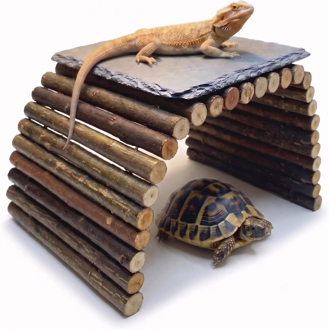 Bearded Dragon Tank Accessories