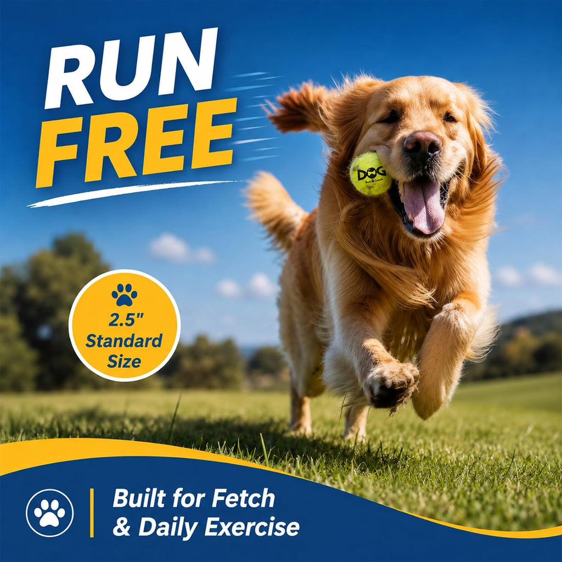 INSUM Tennis Balls for Dogs - 12 Pack 2.5'' Durable Non-Toxic Outdoor