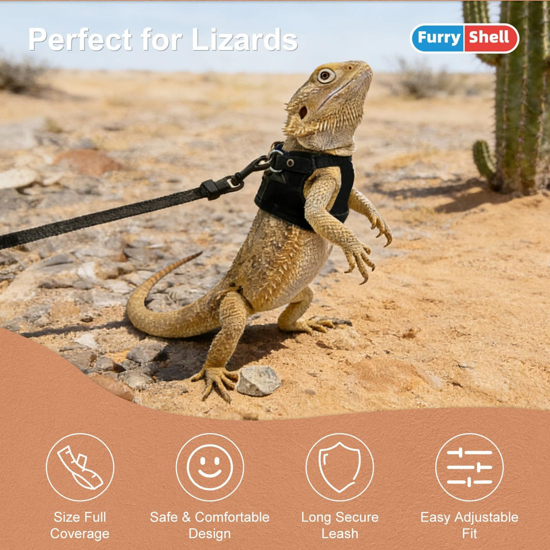Bearded Dragon Harness & Leash Set, Escape-Proof, 3 Pack (S/M/L),Black