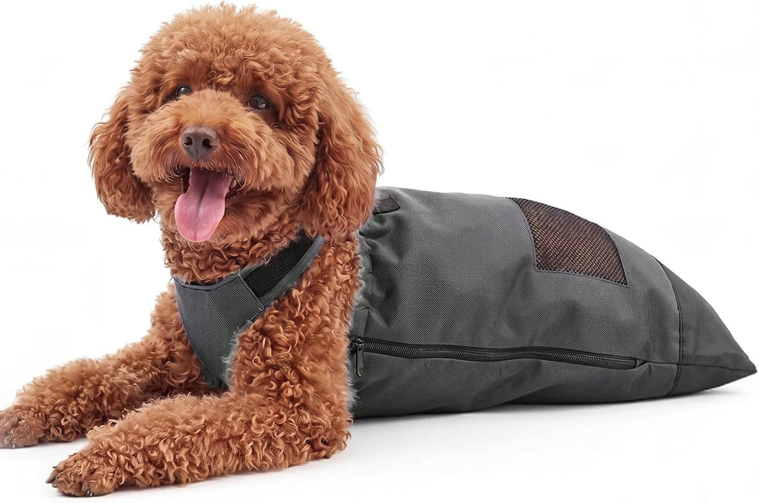 Sadnyy Drag Bags for Paralyzed Dogs & Cats