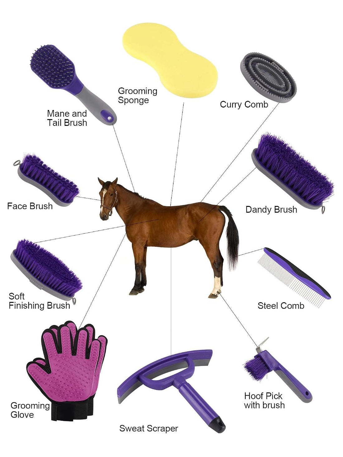 Horse Grooming Kit: Brushes, Storage Bag, Sweat Scraper, Mane Comb