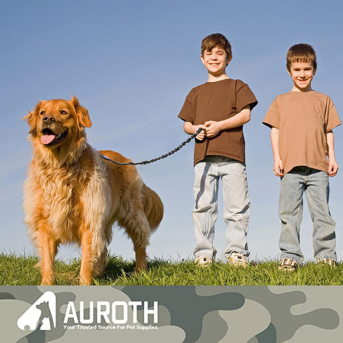 AUROTH Heavy Duty Bungee Dog Leash for Shock Absorption