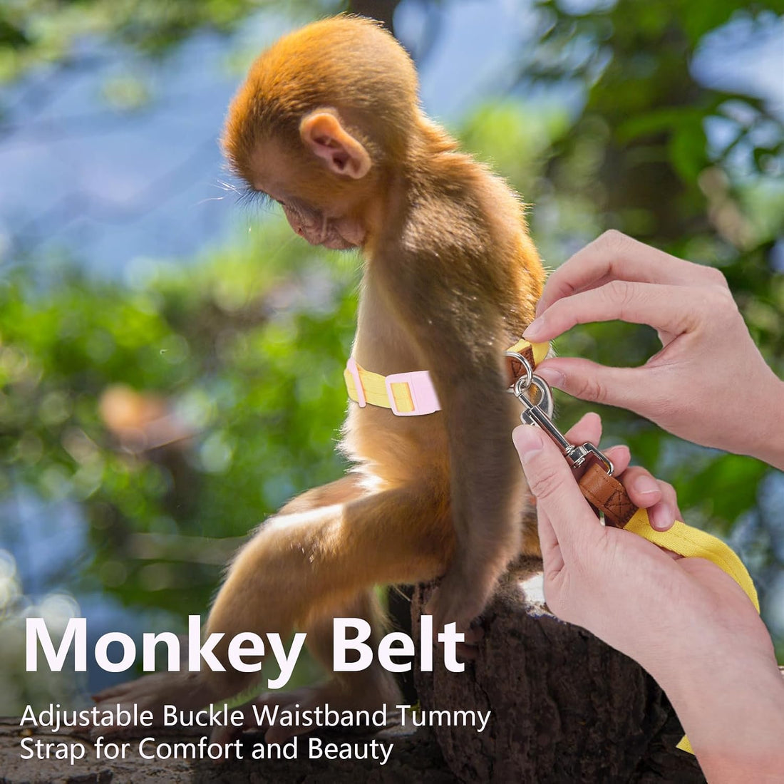 Mini Monkey Leash Adjustable Strap Belly Bands Marmoset Walking