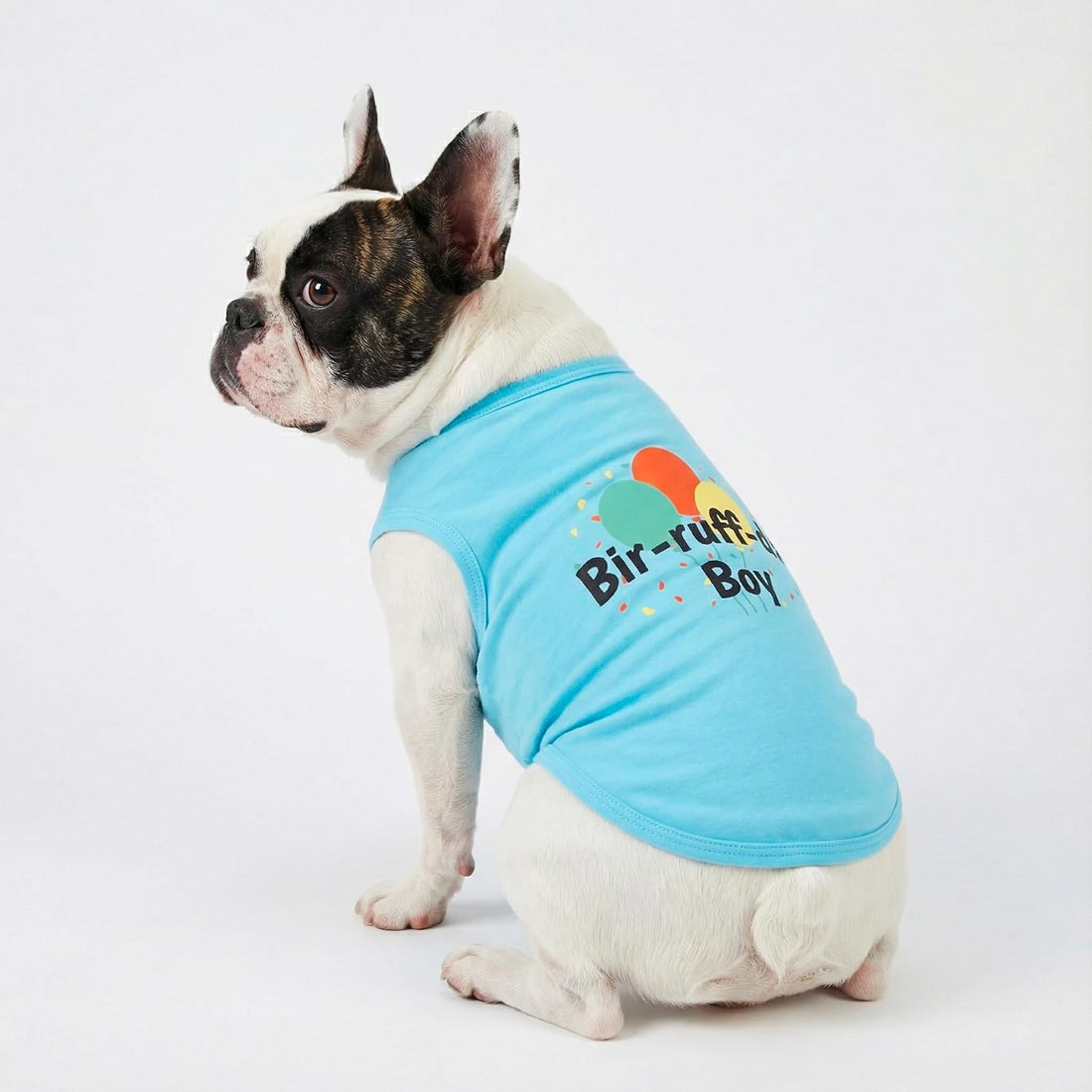 Fitwarm Birthday Boy Dog Shirt
