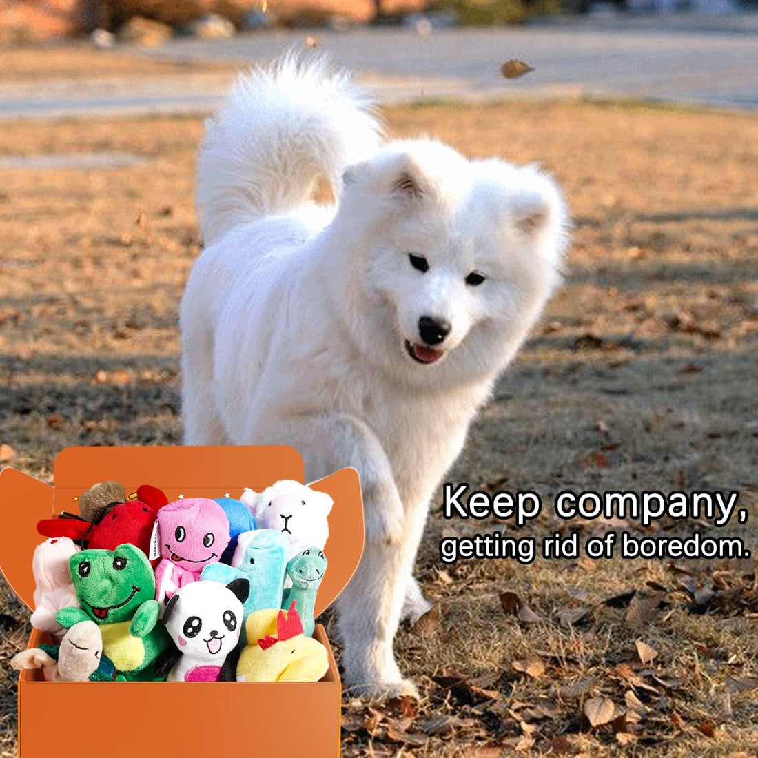 LEGEND SANDY Squeaky Plush Dog Toy Pack for Puppy