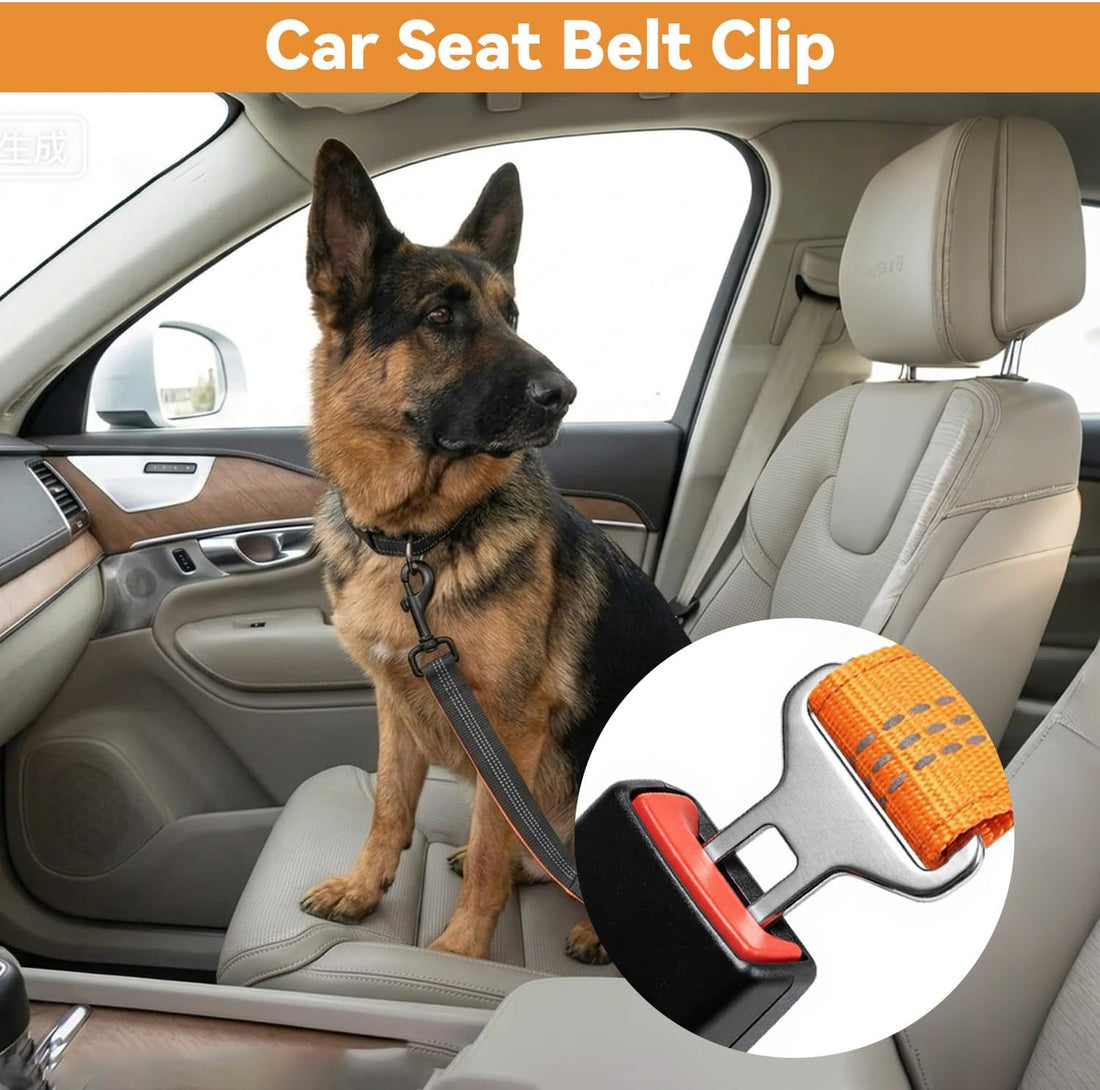 Hands Free Dog Leash, Heavy Duty 240lbs Bungee Leash with Fanny Pack