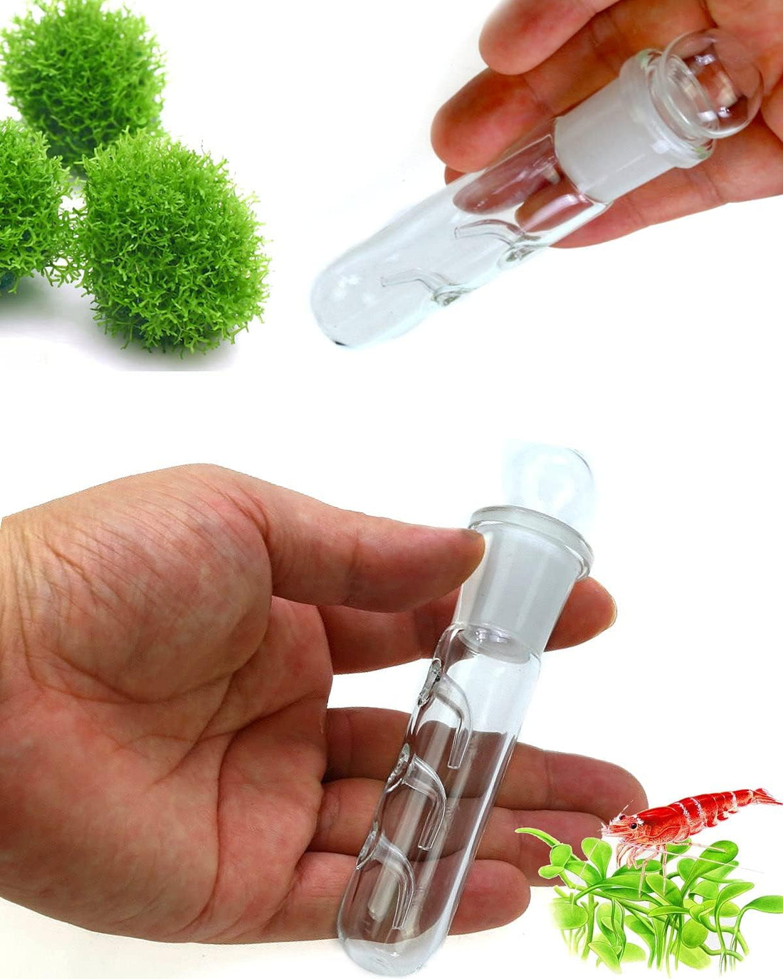 Planaria Trap Crystal Red Shrimp Tank Aquarium Bristle Worm Catcher