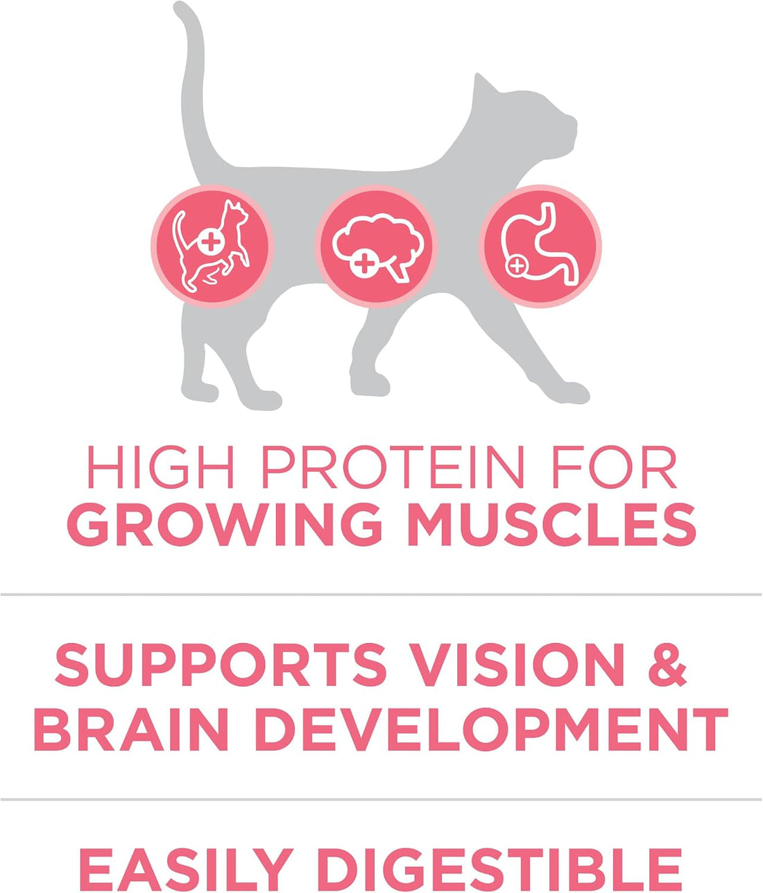 Purina ONE High Protein, Natural Dry Kitten Food