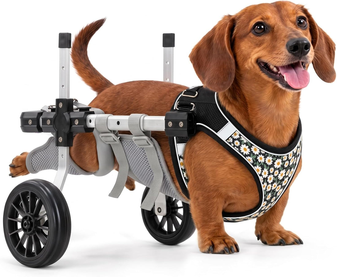 Small Dog Wheelchair for Back Legs, Adjustable Mobility Aids