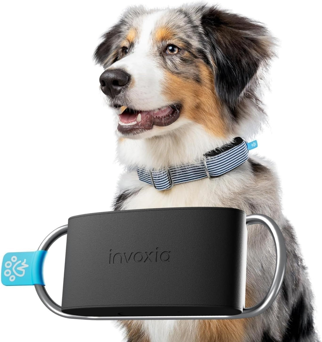 Invoxia Biotracker 2026 Edition - Health and GPS Tracker for Dogs