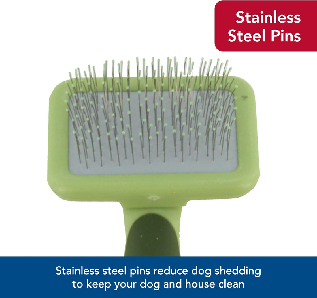 Coastal Pet Safari Dog Soft Slicker Brush