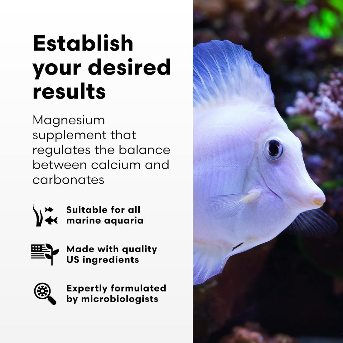 Brightwell Aquatics Magnesion Ionic Magnesium for Reef Aquariums