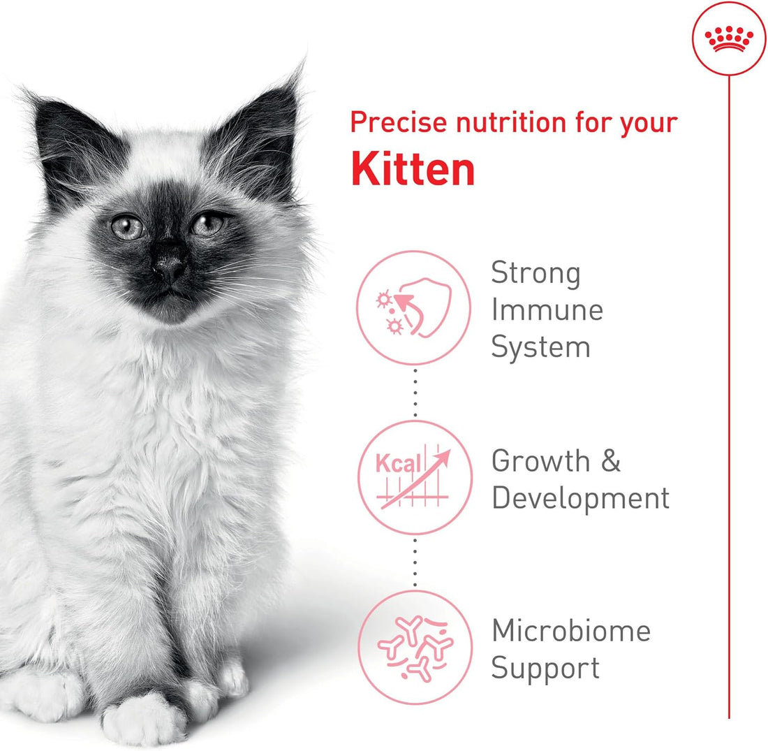 Royal Canin Feline Health Nutrition Kitten Dry Cat Food, 7 lb Bag