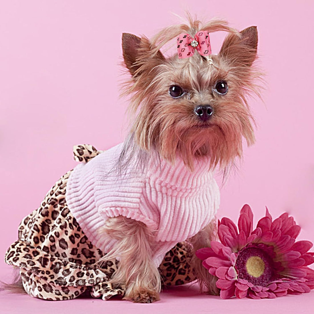 PET SHOW Mixed Styles Pet Cat Puppy Topknot Small Dog Hair Bows